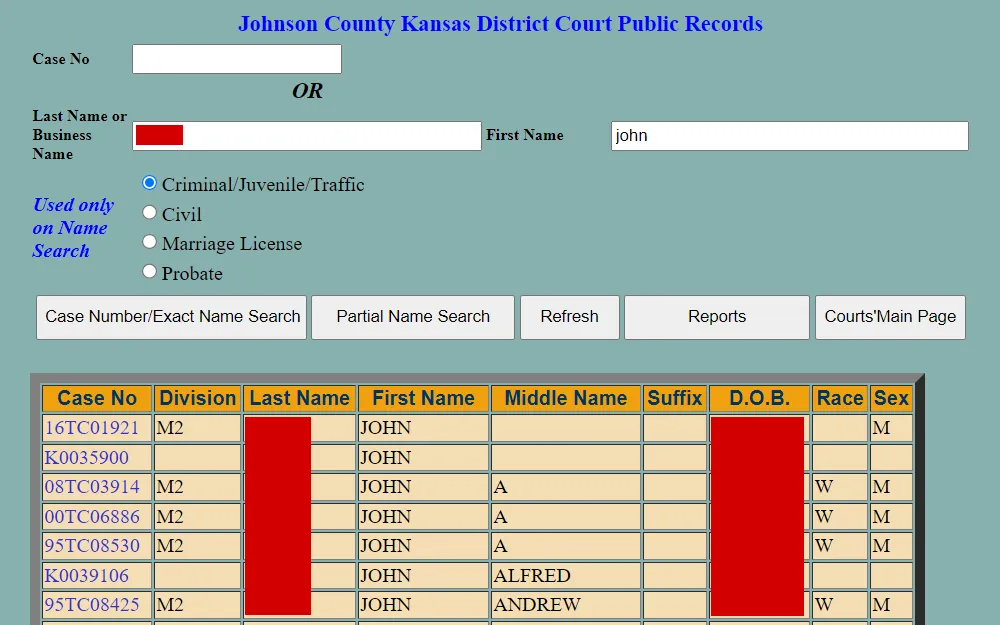 Screenshot of the Johnson County Kansas District Court Public Records search tool displaying the search fields for case number, business name, or first and last names, the case type options, followed by the list of results including the case number, division, name of defendant, birthday, race, and sex.